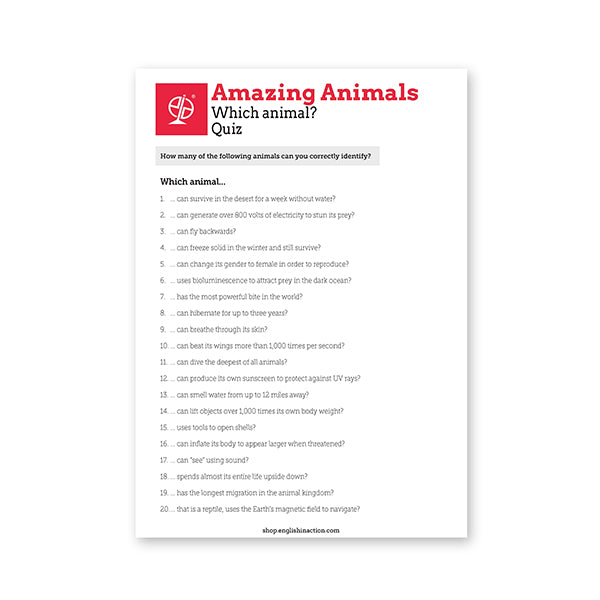 Amazing Animals Text and Activities EFL Resource
