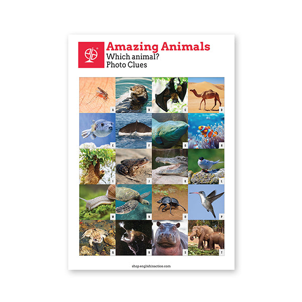 Amazing Animals Text and Activities EFL Resource
