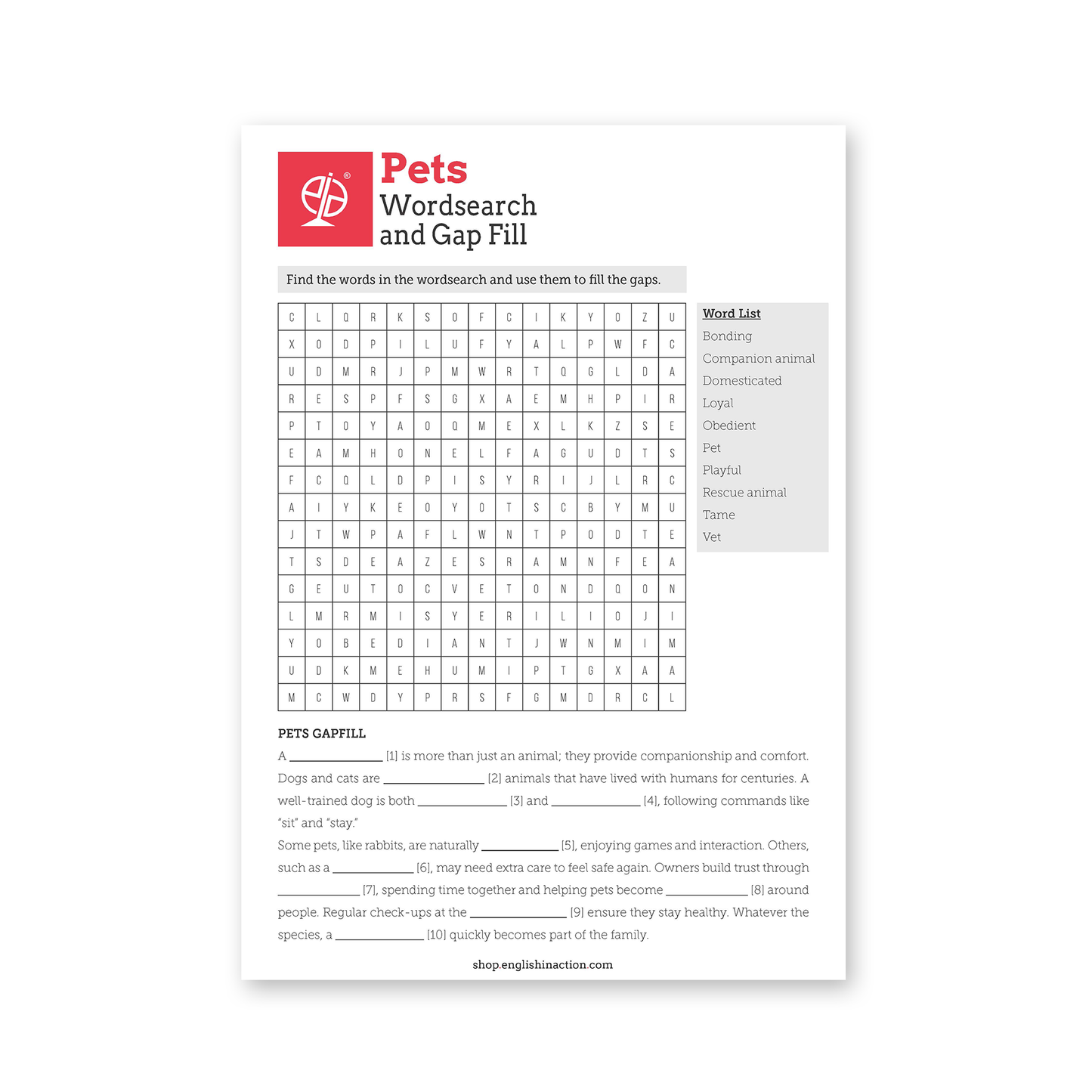 Family, Friends and Pets Vocabulary | EFL Worksheet