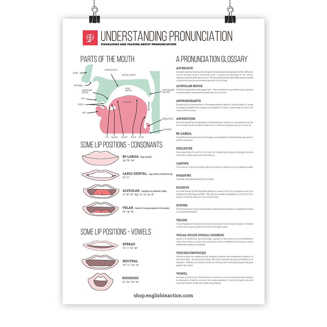 Understanding Pronunciation | EFL Classroom Poster