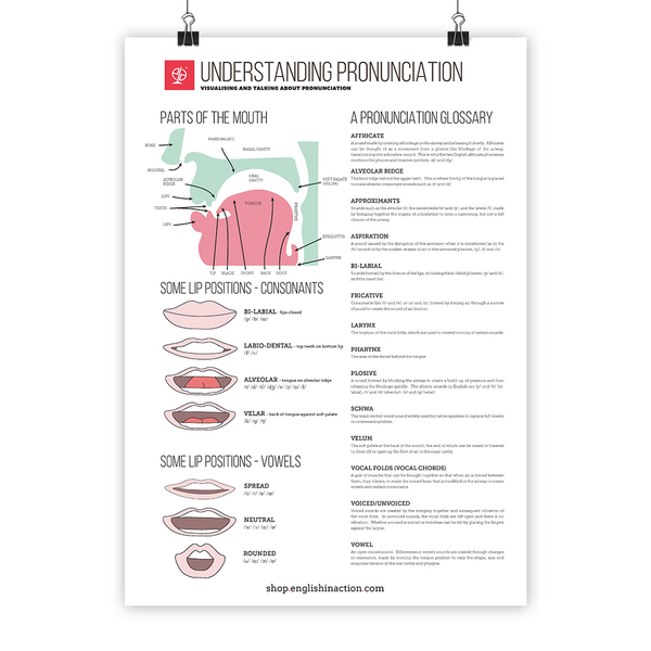 Understanding Pronunciation | EFL Poster for Teaching Vowel and Conson ...