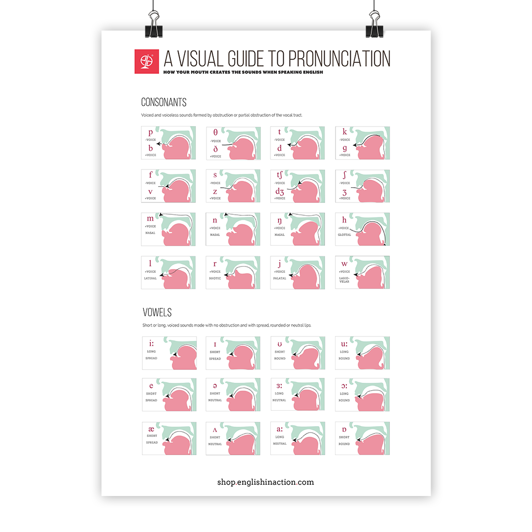 A Visual Guide to Pronunciation | EFL Classroom Poster