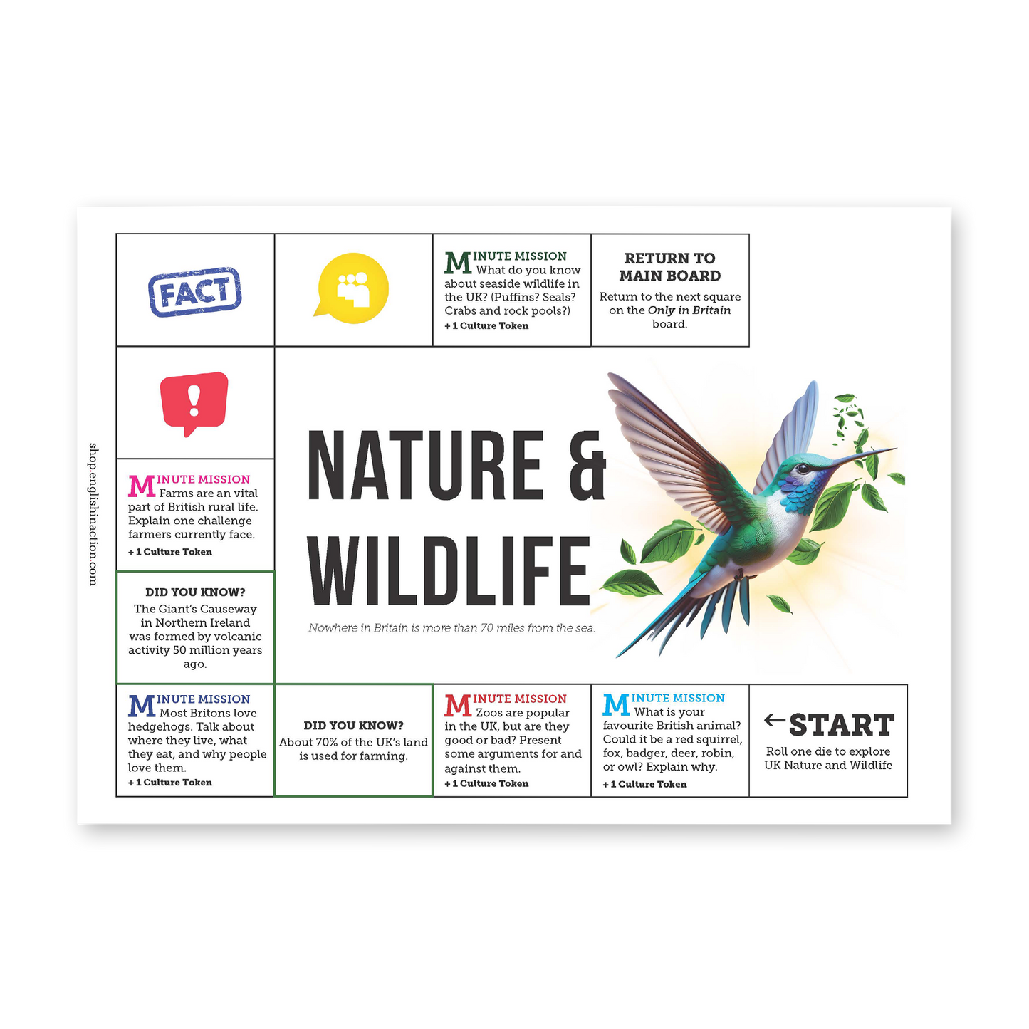 Only in Britain | Language and Culture EFL Board Game