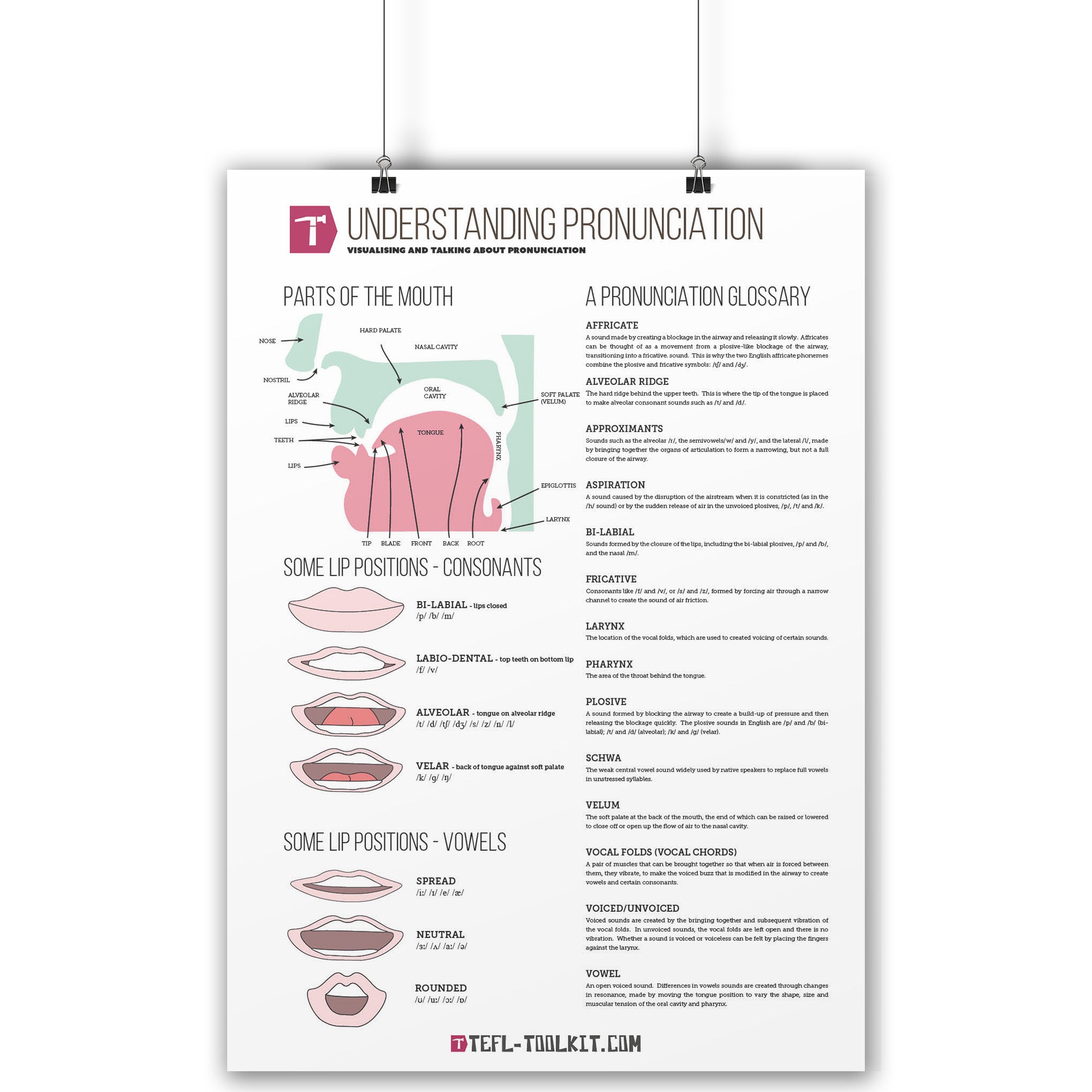 Understanding Pronunciation | EFL Classroom Poster – EiA Shop